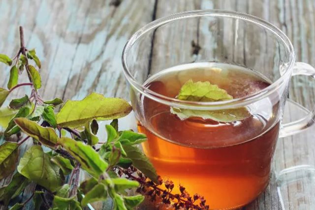 3 loại lá thông dụng hỗ trợ điều trị tăng huyết áp